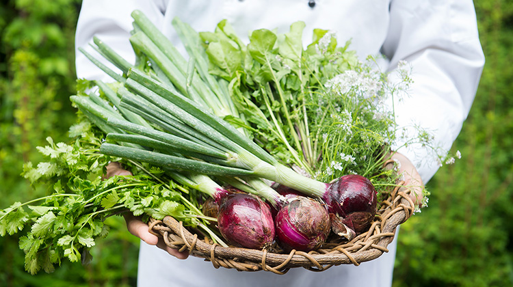 「Ome Farm」×DEAN ＆ DELUCA　東京から発信する無農薬野菜の可能性