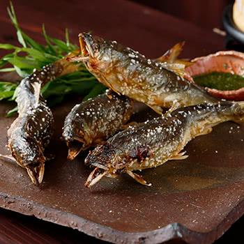 香り高き「天然鮎」